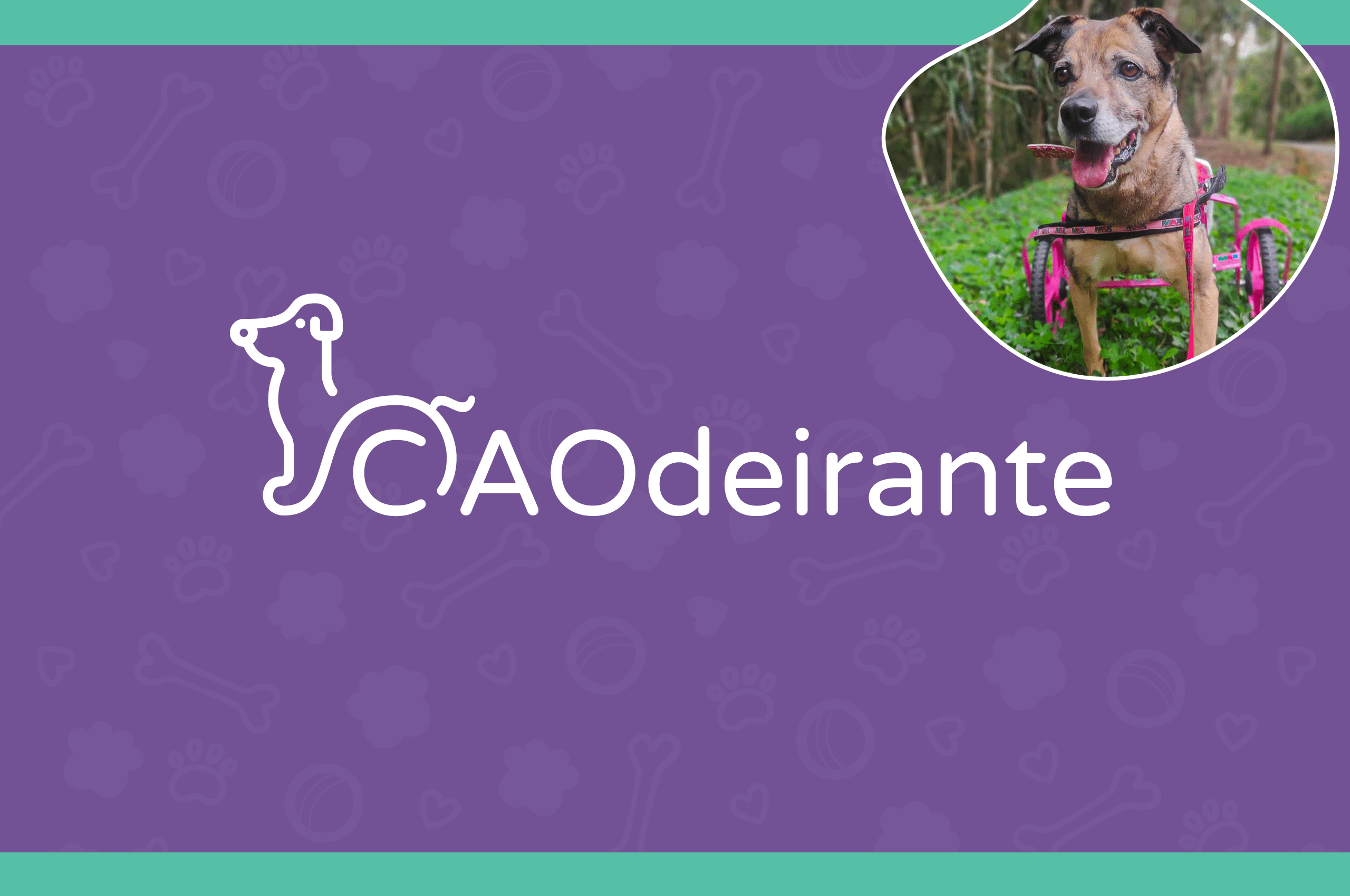 Bourbon Shopping São Paulo realiza feira de adoção em parceria com Instituto Cãodeirante